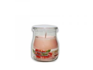 Sveca jogurt casa jagode+slag