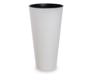 Saksija lady bela kg