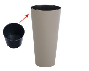 Saksija Lady visoka moka